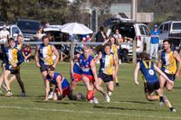 Seniors take down Inverloch and head to the grand final post image