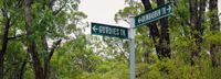 Bass Coast calls for urgent action to protect Western Port woodlands post image