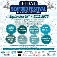 Tidal Festival post image