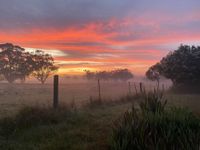 New charity launched to protect local environment post image