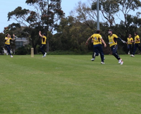 A ripping start for the Sharks post image