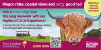 Highland Cattle Experience – Churchill Island post image
