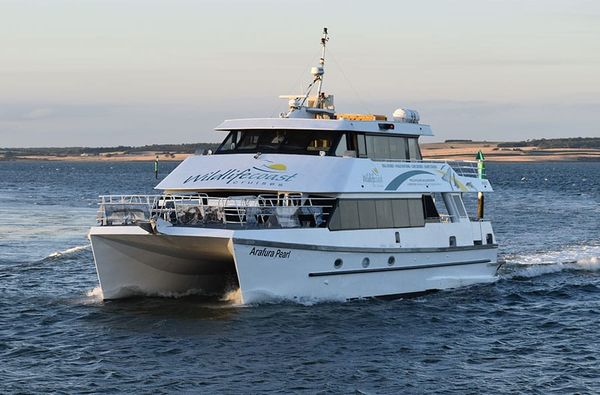 Wildlife Coast Cruises calls for help with finding marine hazard post image