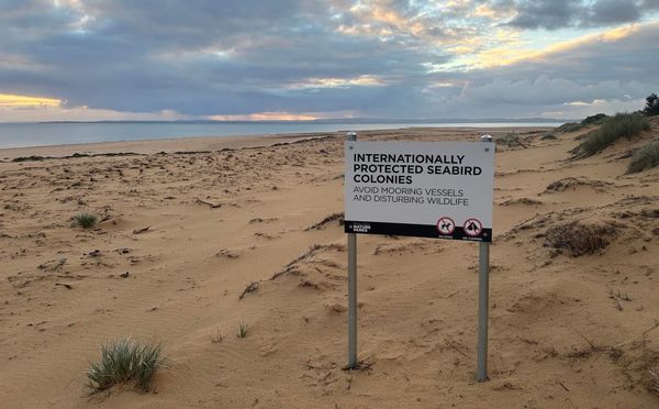 Guidelines for dogs released for comment post image