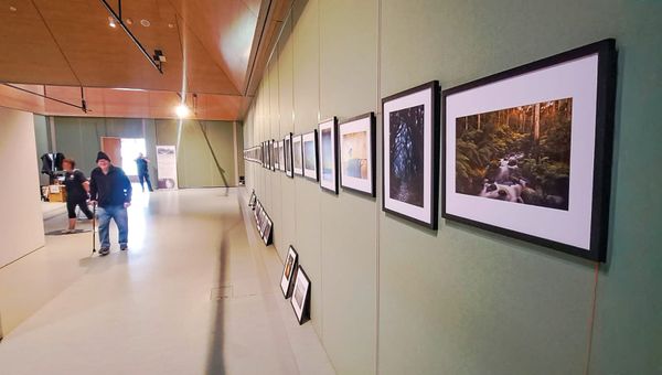 Spotlight on Gippsland photographers post image