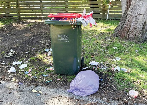 Weekly red bin collection pledged post image