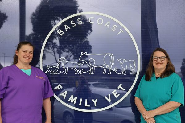 Phillip Island vets find new base in Wonthaggi post image