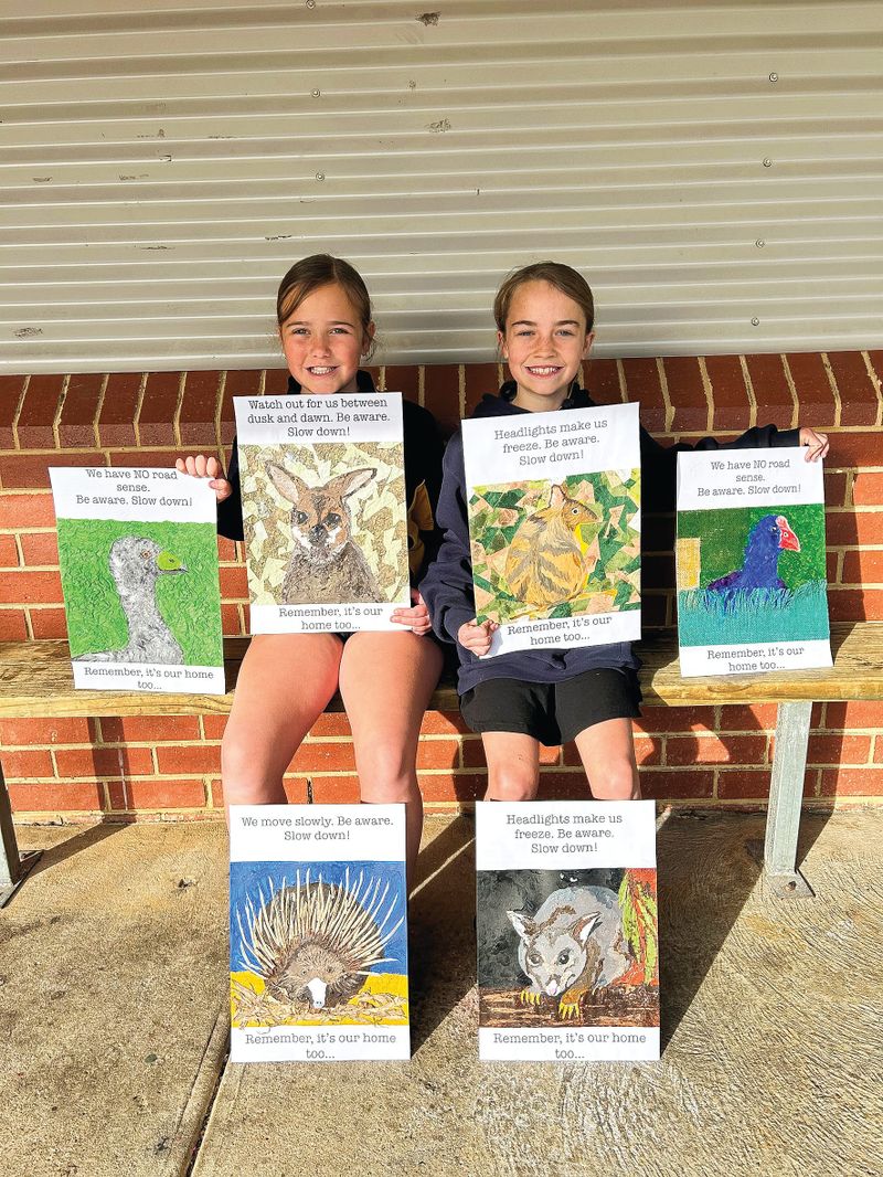 Primary students call on motorists to stop roadkill post image