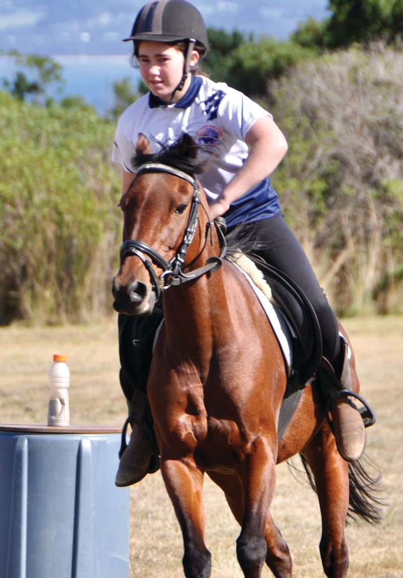 Vote now for our Pony Club post image