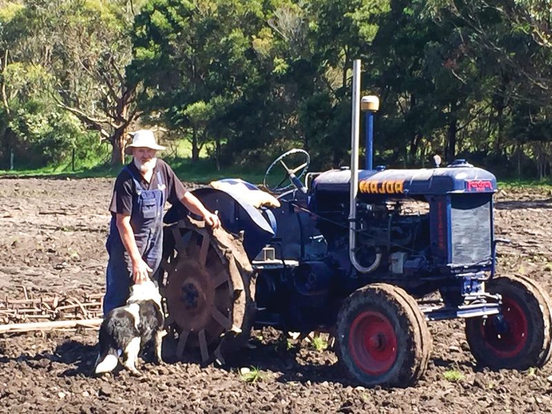 Phillip Island’s tractor collector post image