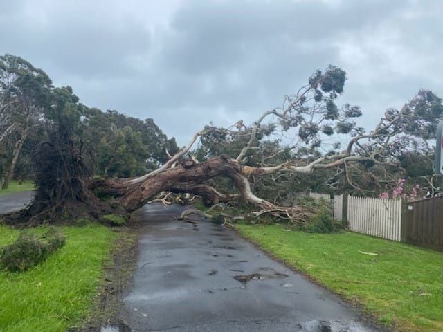 Wild winds lash the island post image