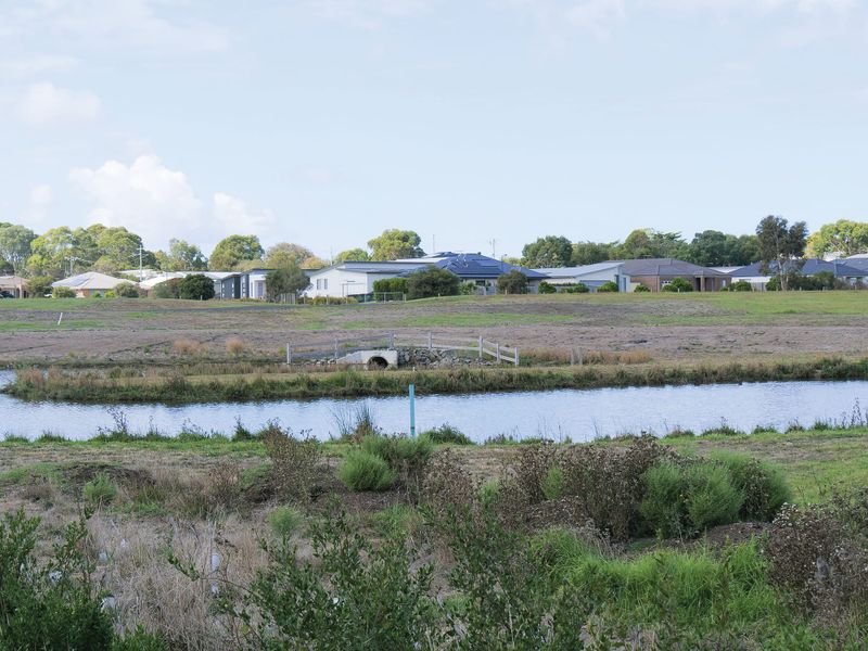 Wetland woes continue post image