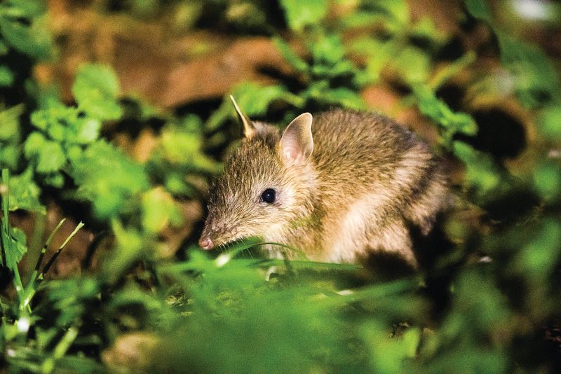 Slow down and protect our smallest residents post image
