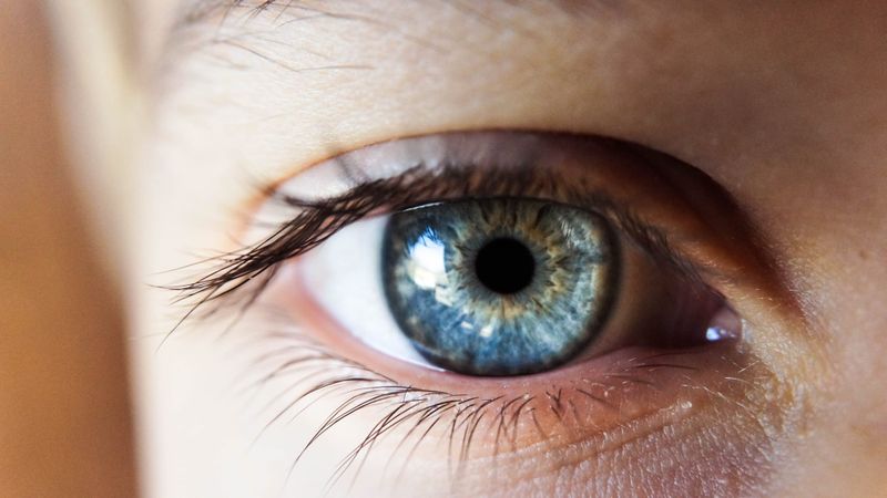 Free sight support expo in Cowes this week post image