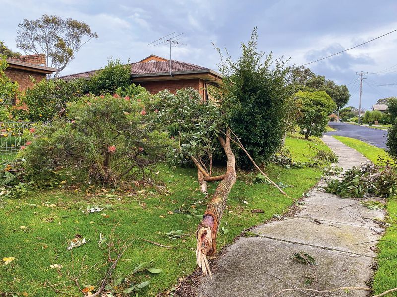 Wednesday night storm hits hard post image