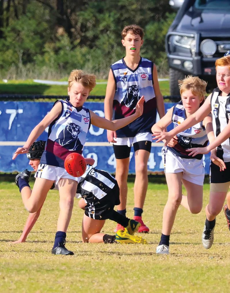Hard Yards and Big Hearts: Junior Panthers Impress post image