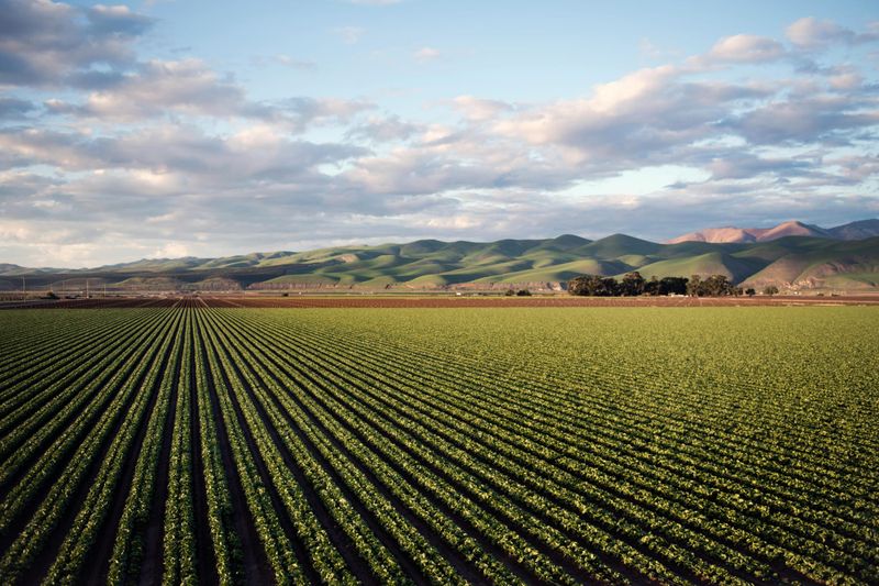 Workshops to support Gippsland farmers post image