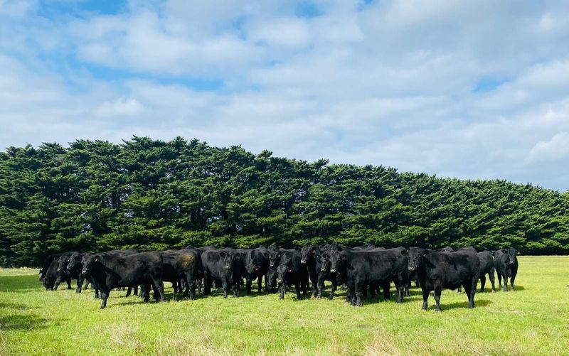 Low rain means farmers fork out post image