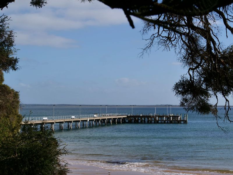 Here we go again: car ferry debate begins post image