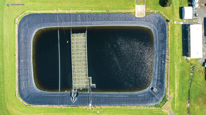 Household water use surges post image