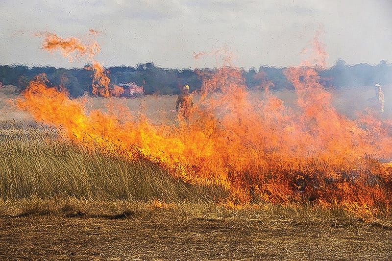 Fire restrictions start post image