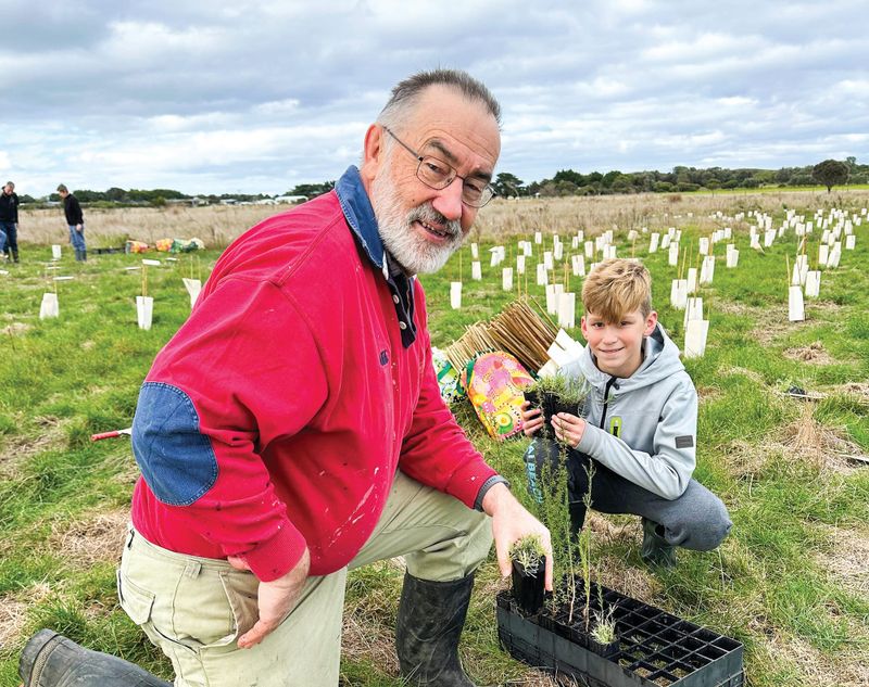 Tree planting season kicks off post image