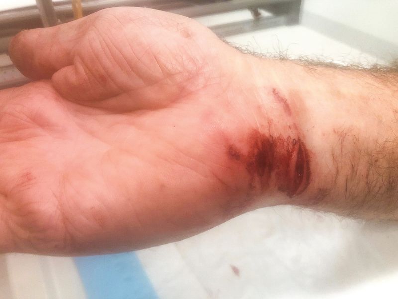 Call for clampdown on aggressive dog post image