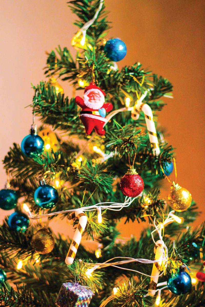 Get in the Christmas spirit post image