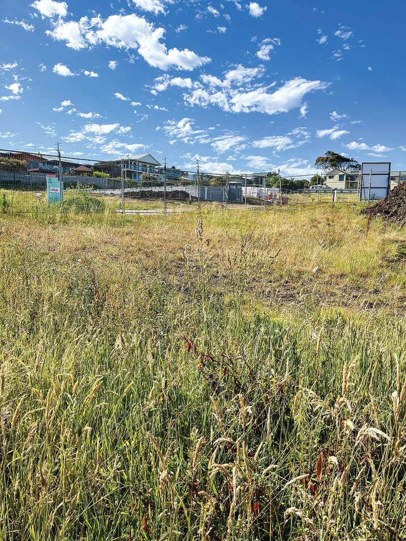 Panorama pain – residents call for clean up post image