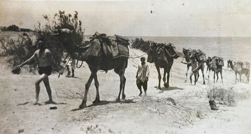 Historical Society’s Second World War project post image
