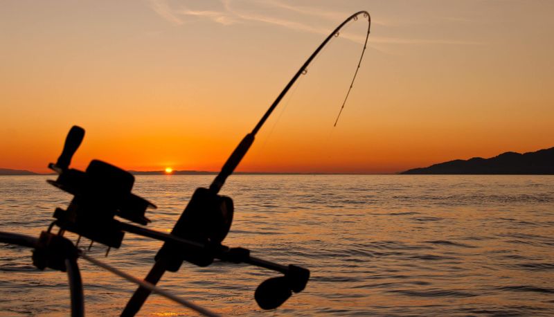 Around the bay with Jim's Bait and Tackle post image