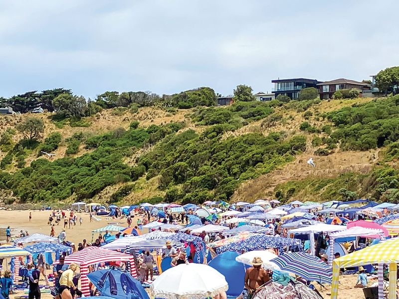 Surf life savers on the go post image