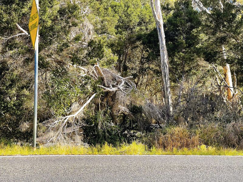 Not a roadside attraction post image