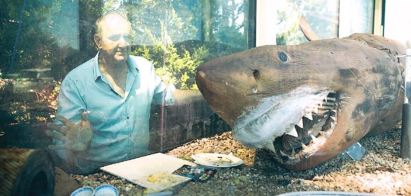 A year later, how is Rosie the Shark? post image