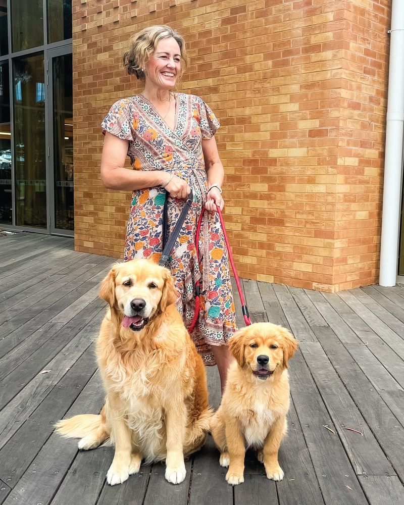 It's time to talk domestic animal management plan post image