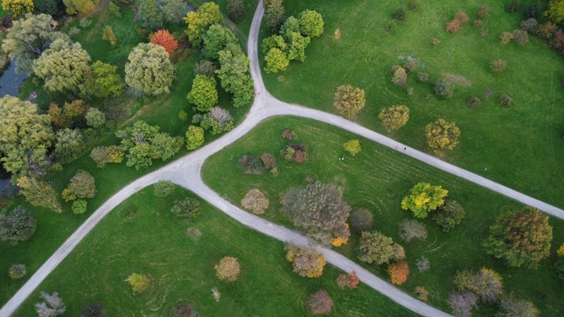 Help shape our urban forest post image