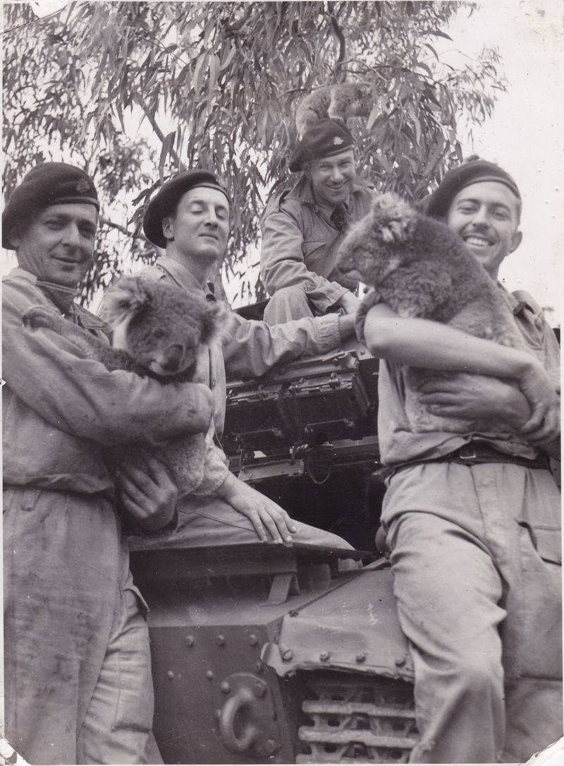 Army units post image