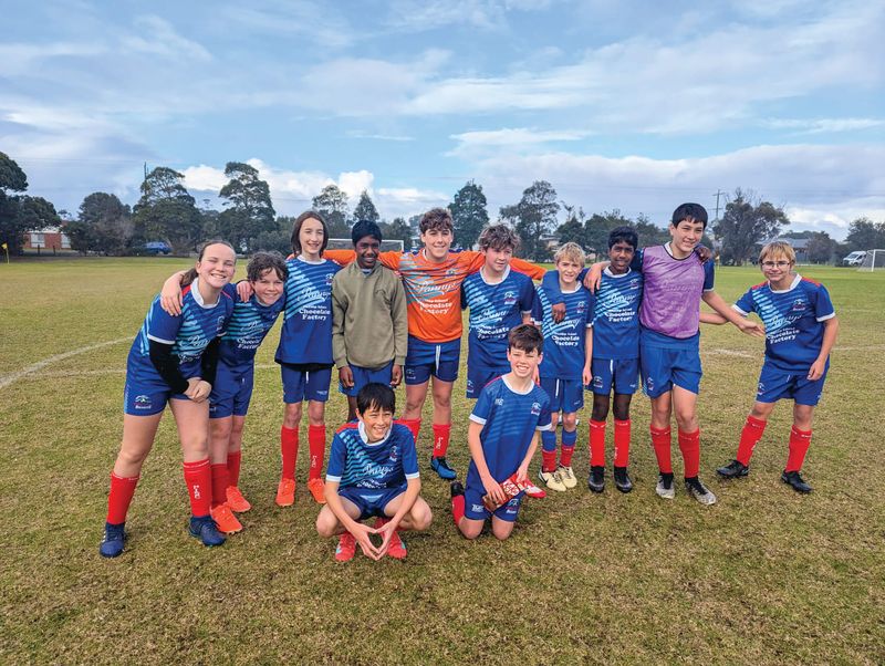 Soccer post image