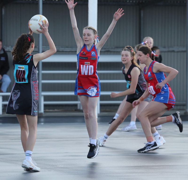 U13s netballers into grand finals post image