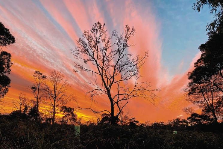 Latest round of Landcare grants announced post image