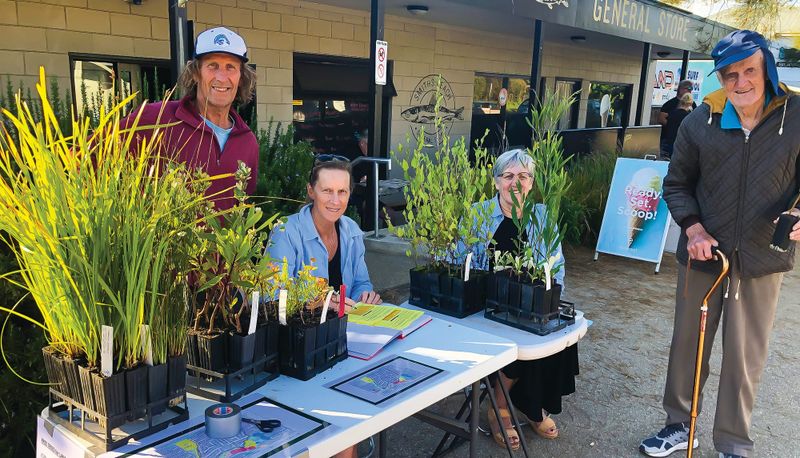 Free trees for Smiths Beach post image