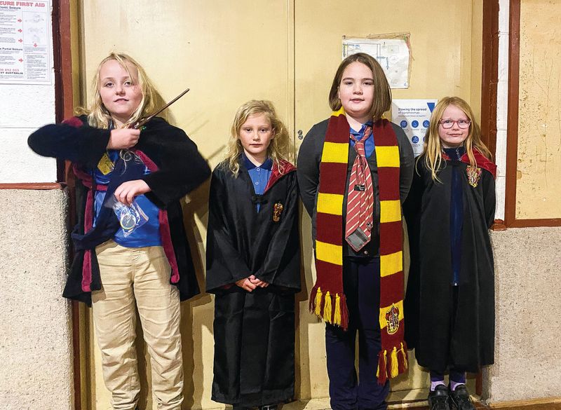 Awards for local Girl Guides post image