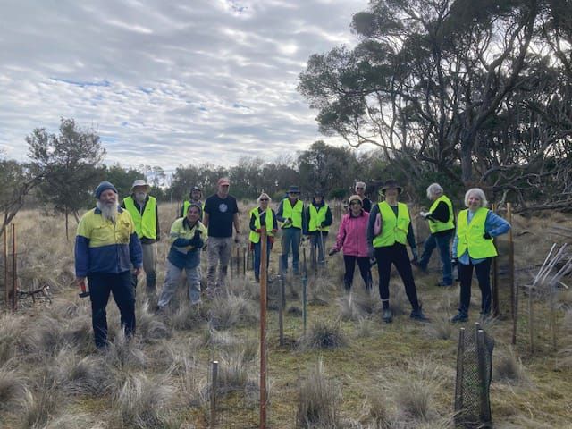 Scenic Estate planting day post image