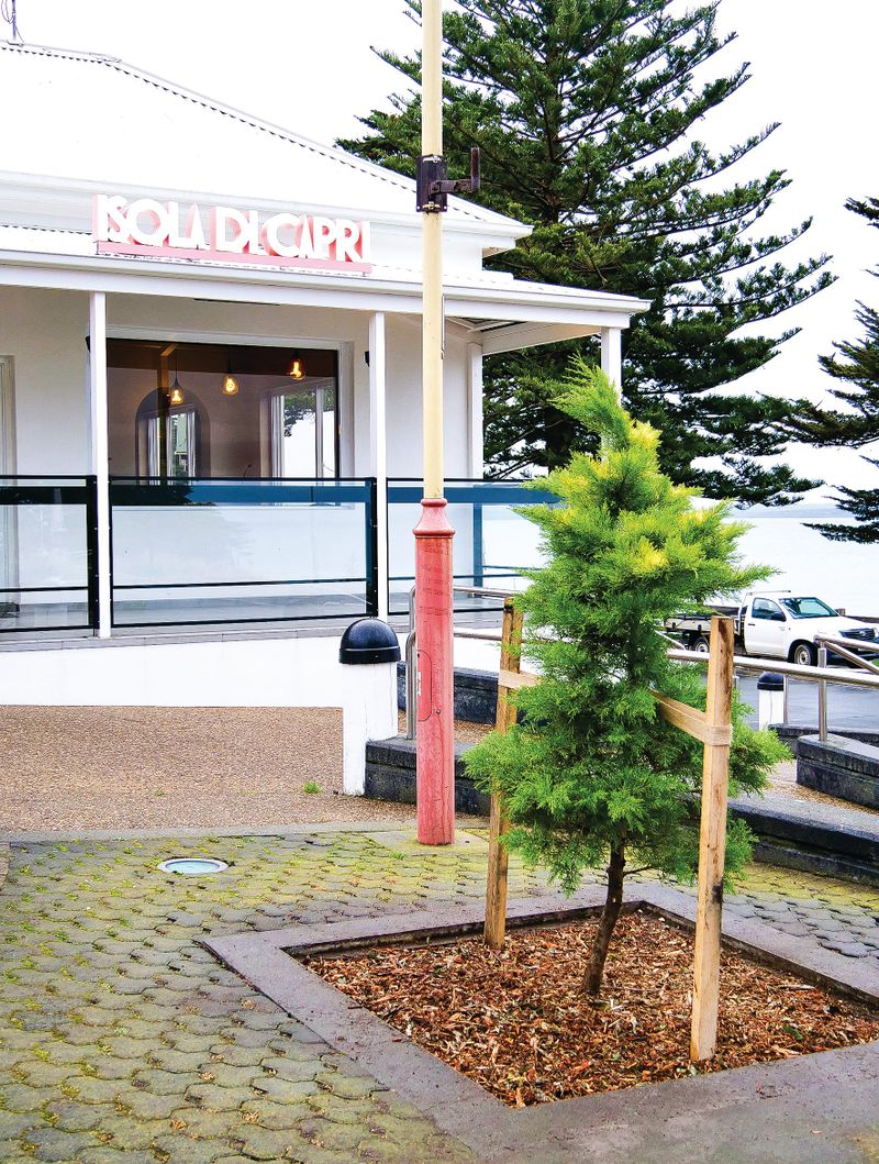 More gold for Thompson Avenue post image