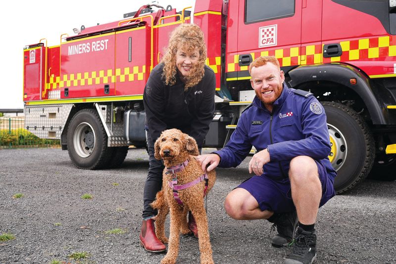 Don’t forget your pets this summer post image
