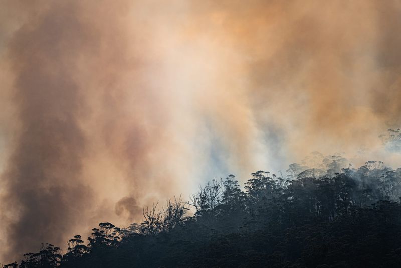 High-risk bushfire days set to soar this century post image