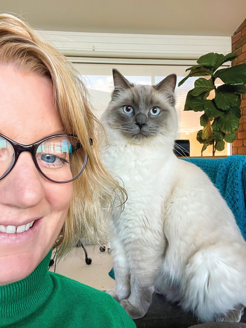 Lisa’s lowdown post image