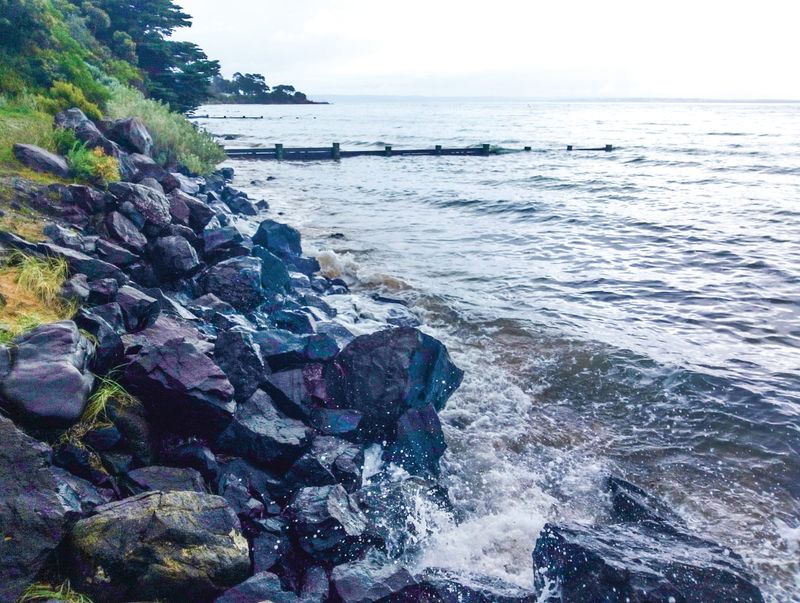 Climate response must be community-wide post image