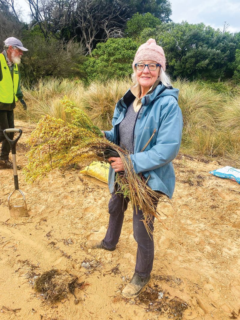 Getting rid of sea spurge post image