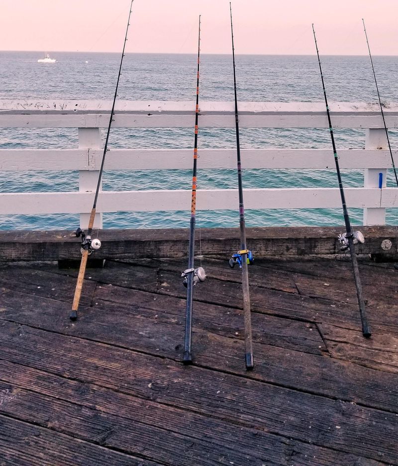Around the bay with Jim’s Bait and Tackle post image